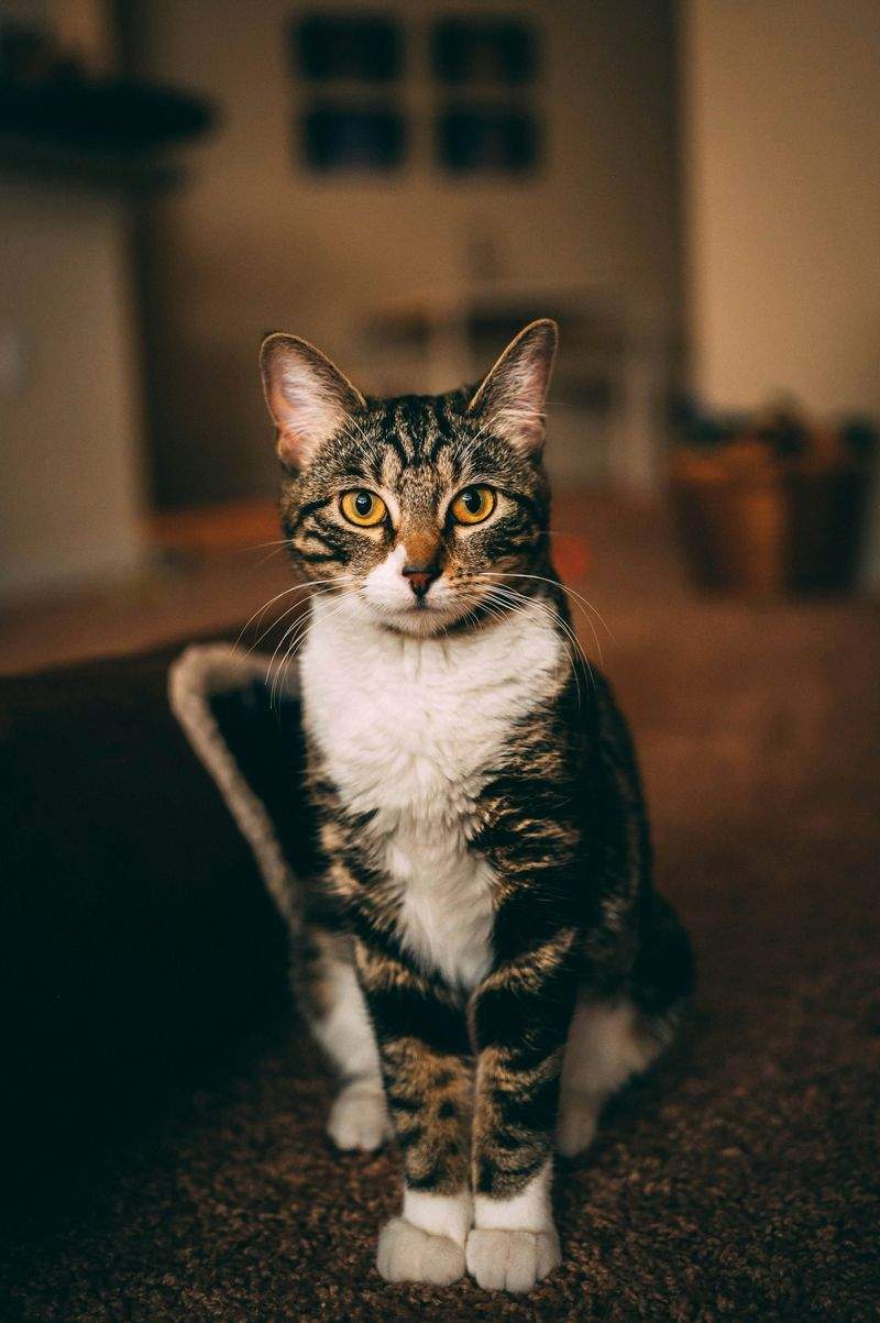 多頭飼育向け環境改善サポート